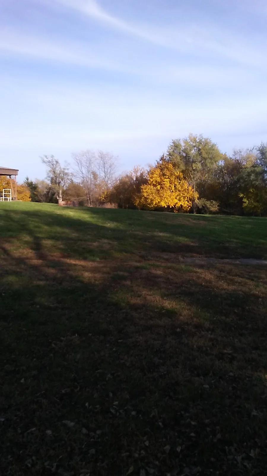 Sunflower Recovery - Photo 3