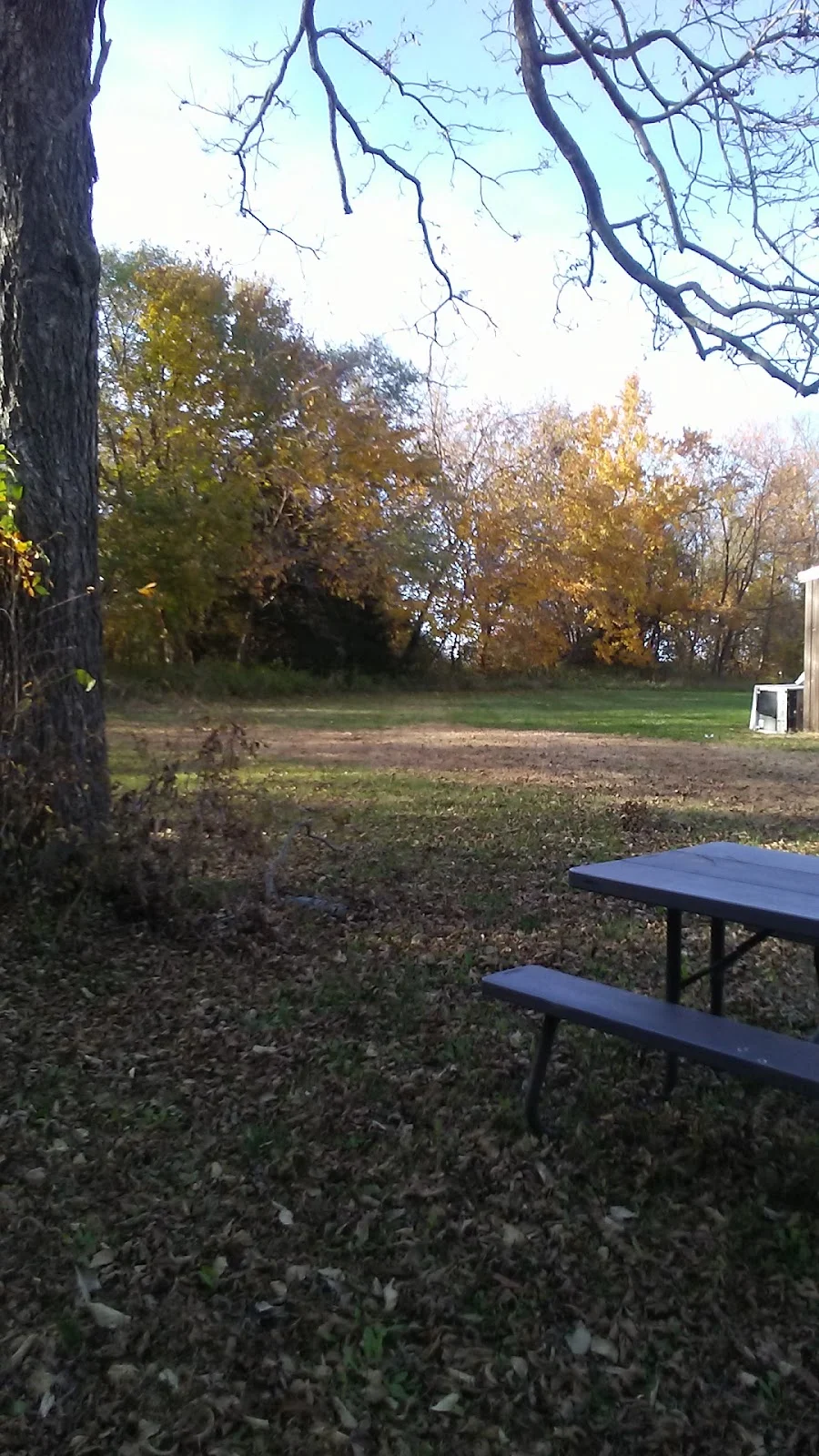 Sunflower Recovery - Photo 5