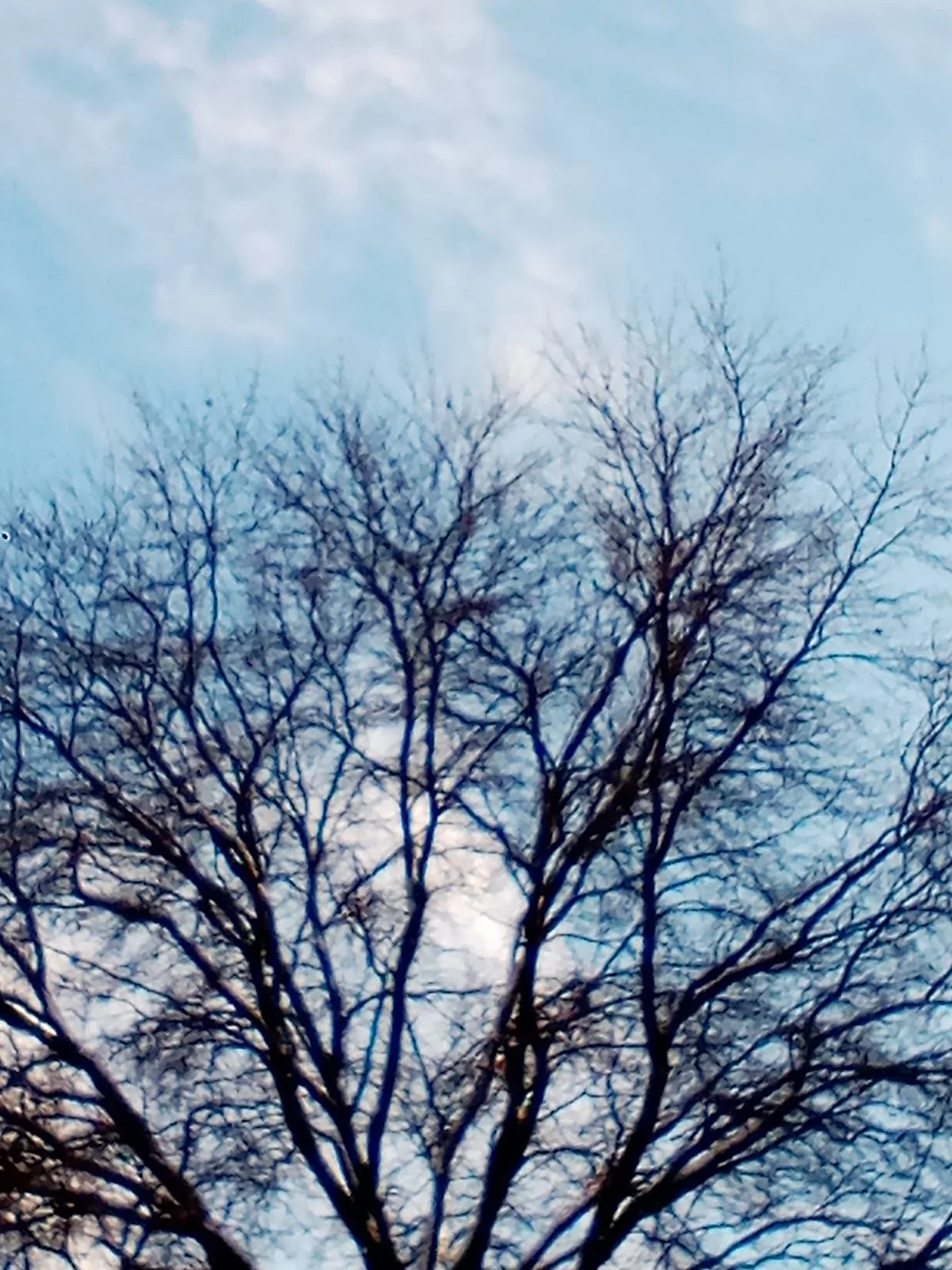 Heartland Center For Behavioral Change