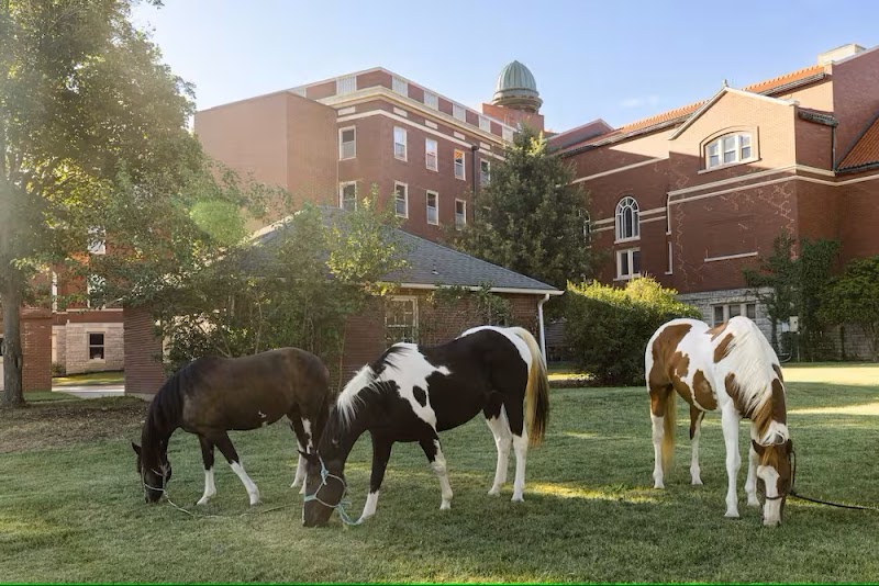 Arista Recovery: Addiction Treatmen - Photo 6