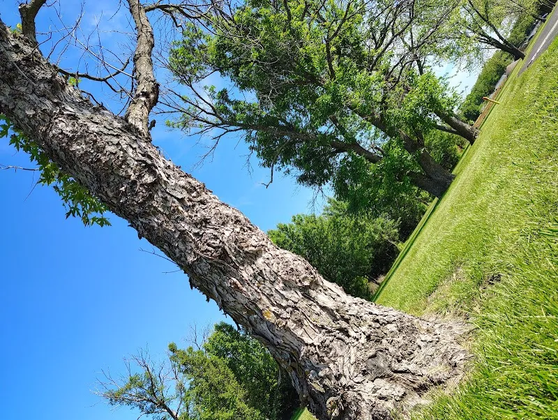 First Step Rehabilitation Services - Photo 3