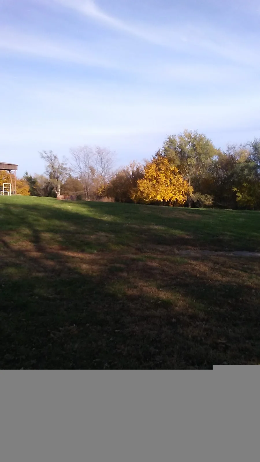 Sunflower Recovery - Photo 3